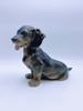 Royal Copenhagen "Dachshund", Nr. 856