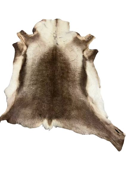 Reinsdyrskinn 140 x 100cm