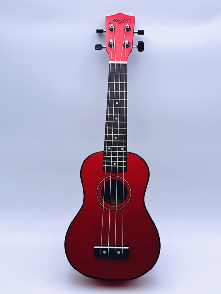 Morgan gitar Modell UK-100MRD