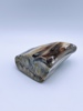 Forstenet tre / Fossil