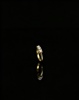 585 - Gull ring c. 2.5gram, 