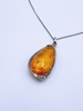 925S Collier med anheng i rav med fossilt insekt