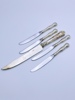Sølv Forskjærskniv + 4 kniver