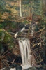 Sigmund Sinding(1875-1936) "Foss i skogen" OPP