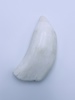 Stor Hvaltann, 0.5kg